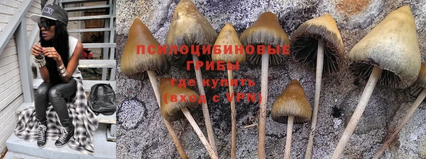 кокс Алзамай