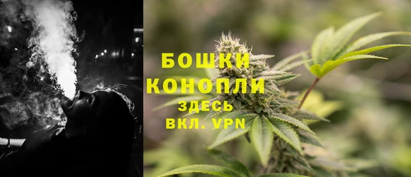 шишки Медвежьегорск