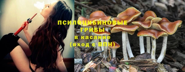 кокс Алзамай